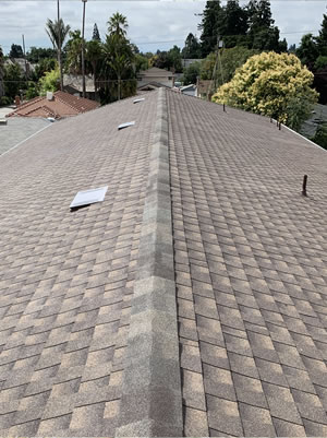 Long gray shingle roof with skylights